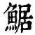 䱟(印刷字体·清·康熙字典)