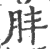肨(印刷字体·宋·广韵)