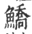 鱎(印刷字体·宋·广韵)