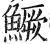 鱖(印刷字体·明·洪武正韵)